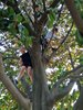 IMG-20220523-WA0006