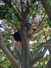 IMG-20220523-WA0007